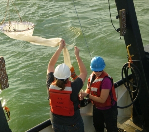 Two students on a boat, lowering a net
